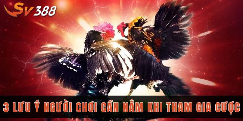 3 lưu ý người chơi cần nắm khi tham gia cược