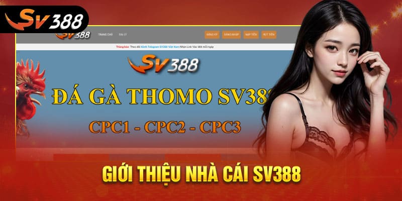 SV388.COM ✅️ Đăng Nhập Link SV 388 Đá Gà Thomo #1 +388K – SV388 21 Giới thiệu nhà cái SV388