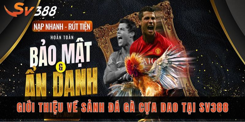 Đá gà cựa dao Sv388 - Sân chơi thỏa mãn đam mê các sư kê 1 Giới thiệu về sảnh đá gà cựa dao tại Sv388