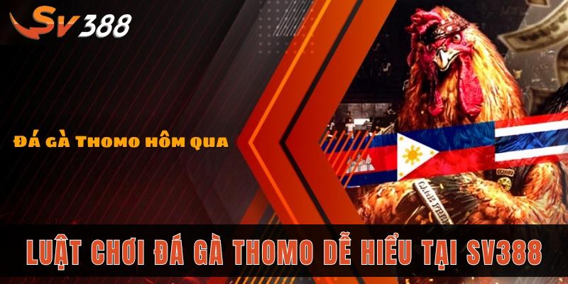 5 kinh nghiệm chơi đá gà Thomo SV388 dễ thắng nhất 2 Luật chơi đá gà Thomo dễ hiểu tại SV388