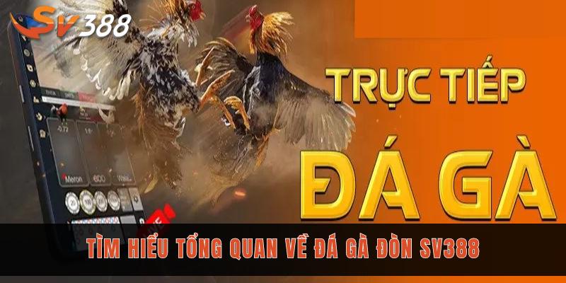 4 kinh nghiệm đá gà đòn SV388 mà bạn cần biết 1 Tìm hiểu tổng quan về đá gà đòn SV388